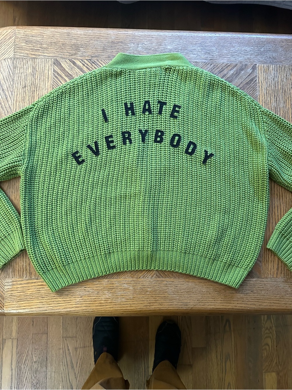 Lazy Oaf x Daria Collab I hate everybody cardigan